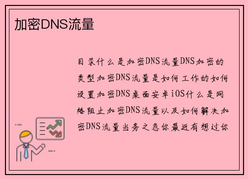 加密DNS流量 